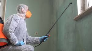 Best Forensic Mold Investigation in Pascagoula, MS